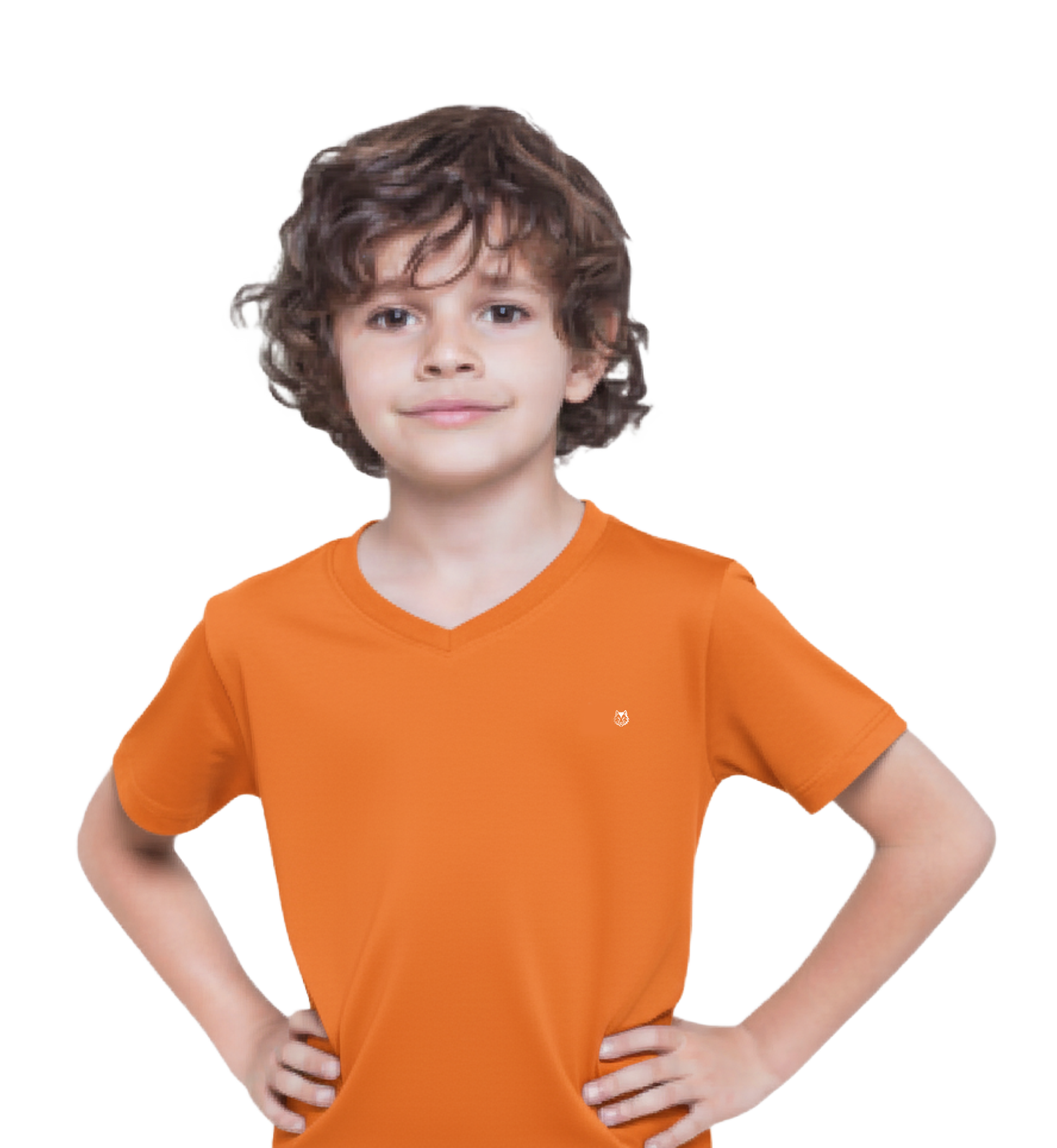 Boys Kids V-Neck Full-Sleeve T-Shirt